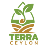 terra logo no slogan